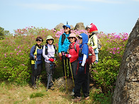 보성 초암산 2