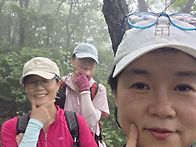 내변산 우중산행
