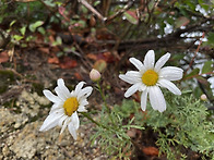 운악산 산행 하나