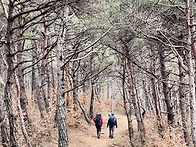 채계산 · 용궐산 산행