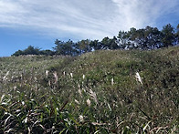 정선(민둥산)