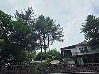 유명사.어비산