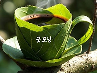 5월30일토요일출석..