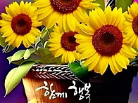 8월6일목요일출석..