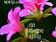 5월29일 금요일 ..