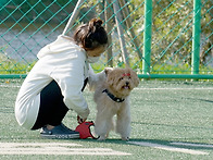 홍 순호 - 산책 - 안양천