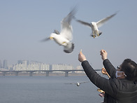 홍 순호 - 유혹 - 여의도 ..