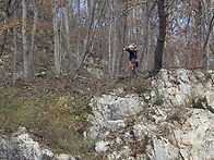 11월 3주차 일욜