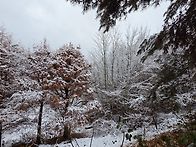 호오스테이 빙벽장 7주차 ..