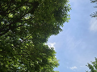 산책