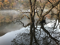 가을 풍경(3)