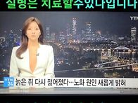 세계 최초 역노화. 신물질..