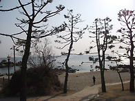 강원도 고성 쏠비치 리조트