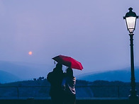행복한 수요일 되세요