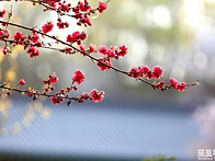 편안하고 즐거운 4월을 시..