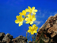 삼월 달 마지막 월요일 입..