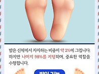 작지만 큰 역활하는 발