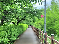 수원 광교호수공원 둘레길..