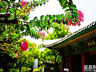 공원의 여름 풍경