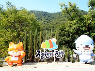 월아산 숲속의 수국 ...