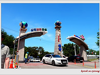 삼척 장미공원 장미축제