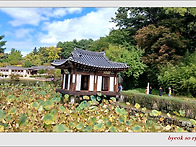 선교장과 오죽헌에 가을이