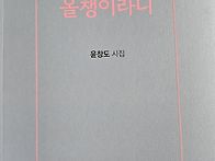 로드킬