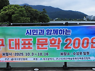2025 대구 대표문학 20..