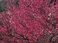 전라북도 경상북도. 섬진강..