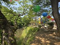 충남 공주 마곡사. 둘레길..