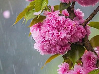 강재신 홍보 과장입니다사..