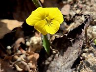 서울 북한산 만경봉 향로봉..