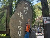 충청북도 대전 광역시 장태..