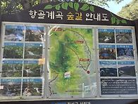 강원도 정선항골계곡 쌍폭..