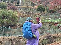 충청북도 제천시 동산11윌..