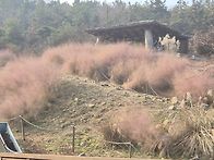 바다향기2