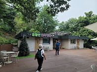 용왕산 산책
