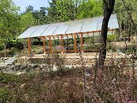 싱그로운 남산 숲..