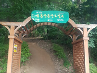 동탄 무봉산[20190616]