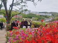수리산 정기산행