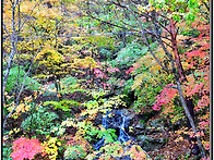 24.10.19일 돌리길 백담계..