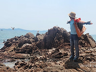 무위도 세렝기티