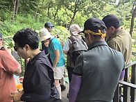늘거기에님 일요도..