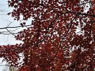 가을이 머무는 시간