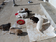 100일 오념문 정진 제34..