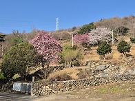 오념문 100일 정진 제48..
