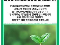 [웹포스터] 경불 산불 피..