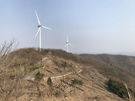 벗꽃바리 화순 풍..