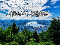 서울 남산자락숲길(금호산..