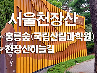 서울홍릉숲, 천장산하늘길